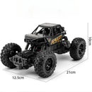 Carrinho de Controle Remoto 4x4 Aventureiro Off-Road